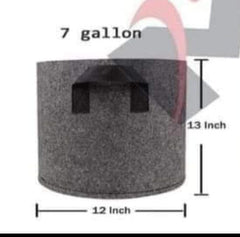 CompactGrow Fabric Bag 1.5 Gallon Size for Herbs, Cuttings & Starter Plants