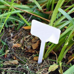 Single Plant Tag – 1 ft Height × 5.5 Inches Width Garden Plant Marker