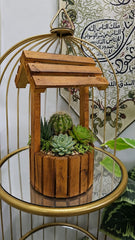 Wooden Bonsai, Succulent & Cactus Planters