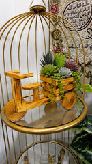 Wooden Bonsai, Succulent & Cactus Planters
