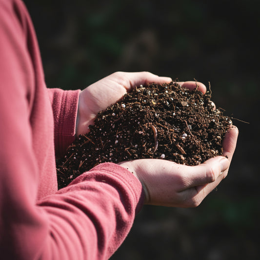 Leaf Compost – Premium Organic Soil Conditioner & Fertilizer