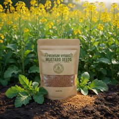 Hybrid Mustard Seeds – 1 KG Pack | Premium High-Yield Vegetable & Oilseed