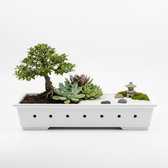 High Quality White PVC Bonsai Tray – 5 × 10 Inch (3 Inch Depth)