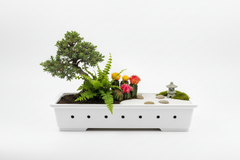 High Quality White PVC Bonsai Tray – 5 × 10 Inch (3 Inch Depth)