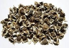 Moringa Seeds (Drumstick Tree) | Organic Superfood Seed