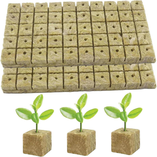Stone Wool (Rock Wool) Seed Grow Kit – Premium Hydroponic Seed Starter Kit