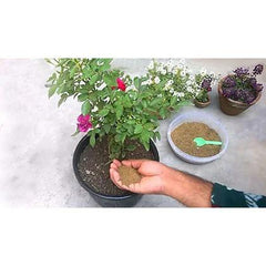 Mustard Cake – Organic Fertilizer for Plants, Flowers & Fruit Trees