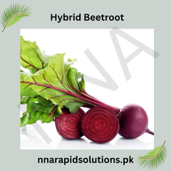 Hybrid Beetroot () Seeds