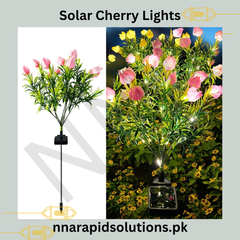 Solar Light Energy-Saving, Bright & Weather-Resistant Outdoor Lighting (Cherry Lights Design)