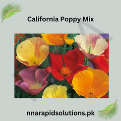 California Poppy Mix Seeds in Pakistan Colorful Seasonal Flowering Plants