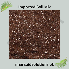 Imported Soil Mix (1 kg) Premium Blend for Healthy Plant Growth