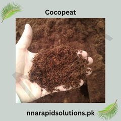 Imported Cocopeat (1 kg)