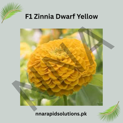 F1 Zinnia Dwarf Yellow Seeds – Compact Summer Flower