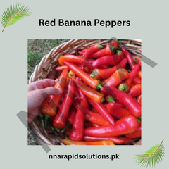 Red Banana Pepper Seeds (Hybrid) – Mild Sweet Chili