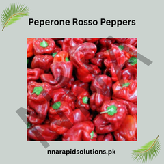 Green Jalapeño Pepper Seeds (Hybrid) – Fresh Spicy Chili
