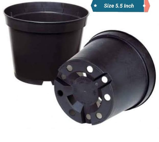 12 Round Plastic Pots  5.5 Inch | Compact & Durable Planters for Gardening