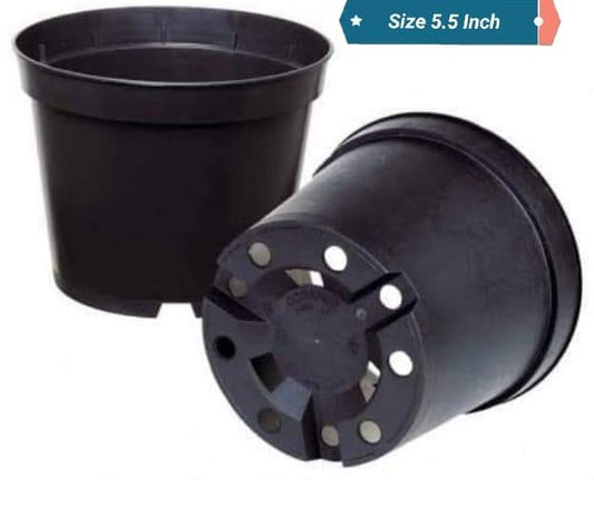 12 Round Plastic Pots  5.5 Inch | Compact & Durable Planters for Gardening