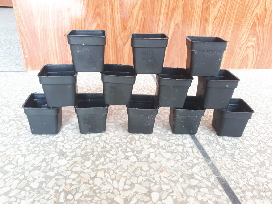 3x3 Inch Small Plastic Pots  Set of 12 for Seedlings or Flowering Plants