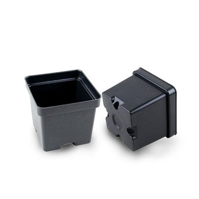2x2 Inch Square Nursery Pots  Pack of 100 Small Plastic Pots for Seedlings & Cuttings
