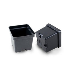 2x2 Inch Square Nursery Pots  Pack of 100 Small Plastic Pots for Seedlings & Cuttings