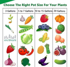 Root Booster Fabric Grow Bag  3 Gallon for Vegetables, Herbs & Flowering Plants
