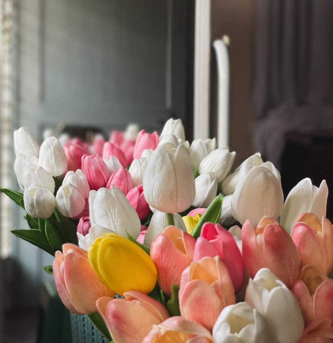 Imported Tulip-Yellow (1 Bulb)