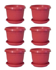 30-Pot Set with Trays  6x6 Inch Flower/Seedling Pots for Commercial or Large Gardens