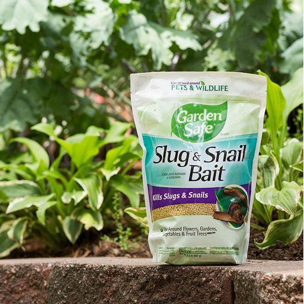 Snail Control Bait – Garden Snail & Slug Protection