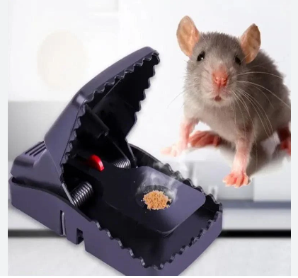 Mouse/Rat Trap  Snap Mechanism