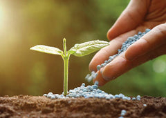Calcium Nitrate Fertilizer (500 gm) | Strengthen Roots & Prevent Deficiencies