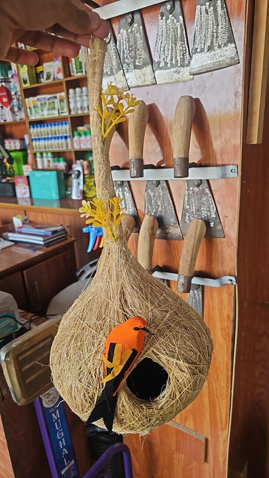 Buy Small Bird Nest Decoration in Pakistan  Natural Garden & Pot Decor