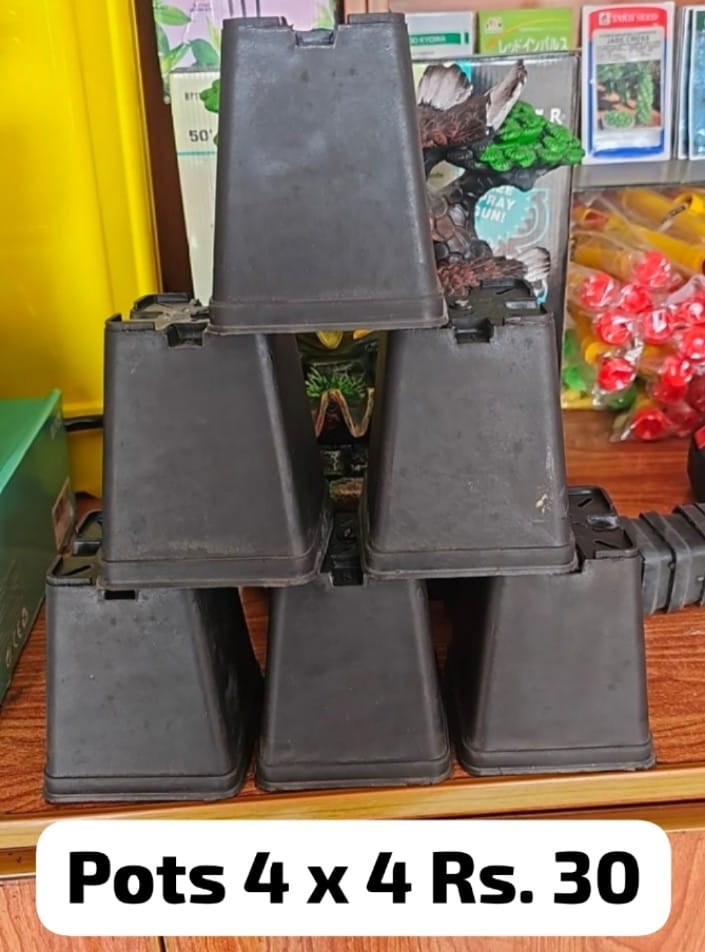 4x4 Inch Square Nursery Pot  Single Piece for Herbs, Succulents & Vegetable Seedlings