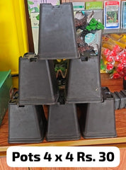 4x4 Inch Square Nursery Pot  Single Piece for Herbs, Succulents & Vegetable Seedlings