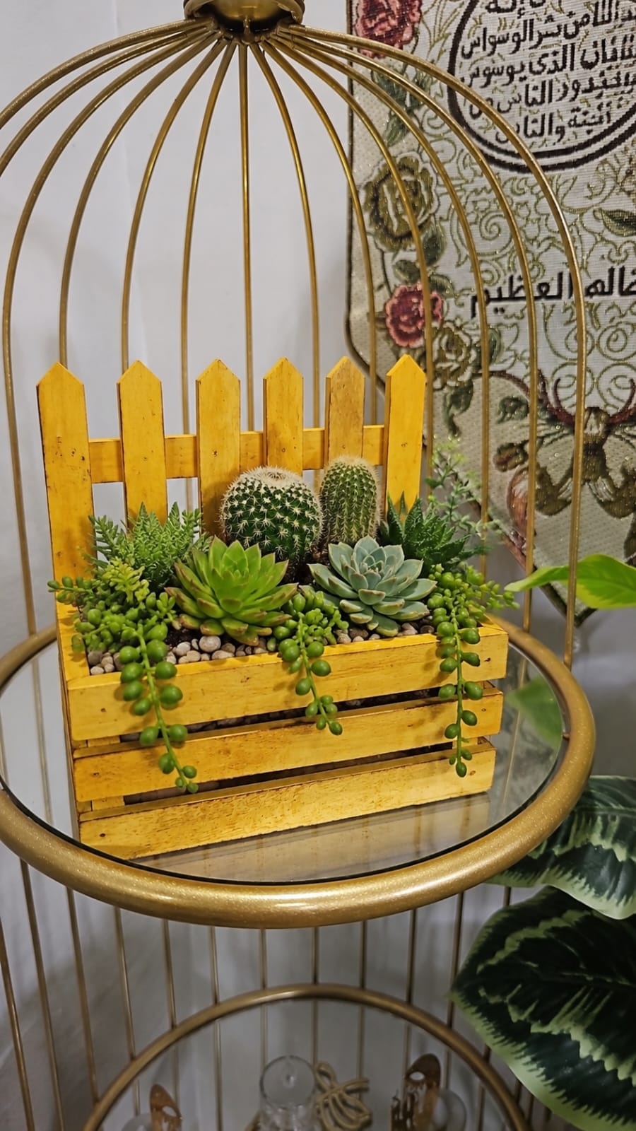 Wooden Bonsai, Succulent & Cactus Planters
