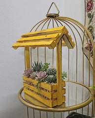 Wooden Bonsai, Succulent & Cactus Planters