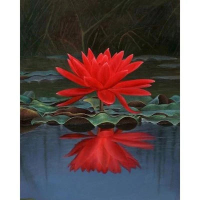 Red Lotus Flower Seeds (10 Seeds) | Sacred Aquatic Plant for Ponds