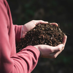 Leaf Compost – Premium Organic Soil Conditioner & Fertilizer