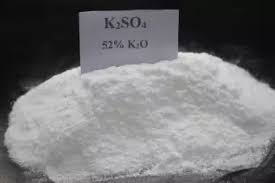 Sulphate of Potash-SOP (500 gm) | Potash Powder for Flowering & Fruit Plants