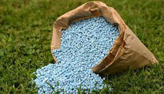 Potash Granular Fertilizer (500 gm) | Boost Flowering & Fruit Development