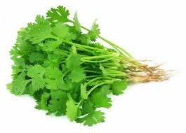 Buy Organic Dhania Seeds (Coriander) Online in Pakistan | Kitchen Garden Herb