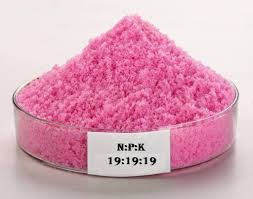 NPK 19-19-19 Water Soluble Fertilizer (50 gm) | Balanced Nutrition for Plants