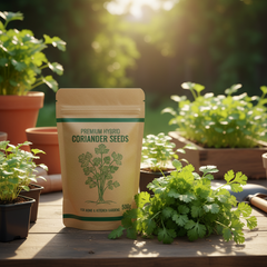 Hybrid Coriander Seeds – 500gm Pack | Premium High-Yield Vegetable Seeds