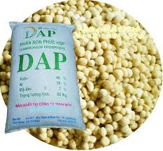 DAP Fertilizer-Diammonium Phosphate (500 gm) | High-Phosphorus Plant Nutrition