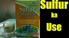 Sulphur Fertilizer for Plants (500 gm) | Improve Soil Health & Boost Yield