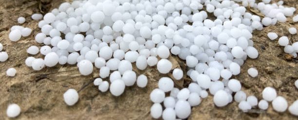 Zinc Fertilizer for Plants (250 gm) | Prevent Zinc Deficiency & Boost Growth