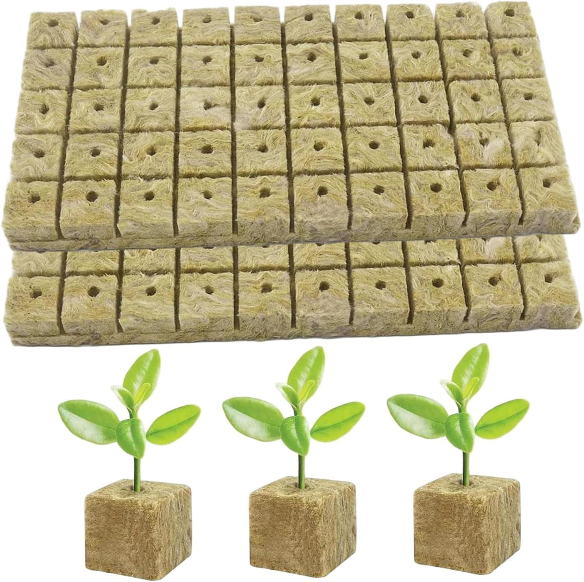 Stone Wool (Rock Wool) Seed Grow Kit – Premium Hydroponic Seed Starter Kit