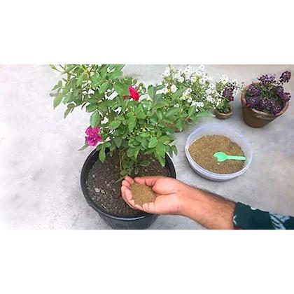 Mustard Cake – Organic Fertilizer for Plants, Flowers & Fruit Trees