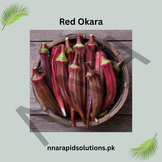 Red Okra Hybrid Seeds – High-Yield Red Lady Finger for Kitchen Gardens