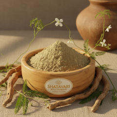 Shatavari Powder – Natural Ayurvedic Women’s Wellness Herbal Supplement