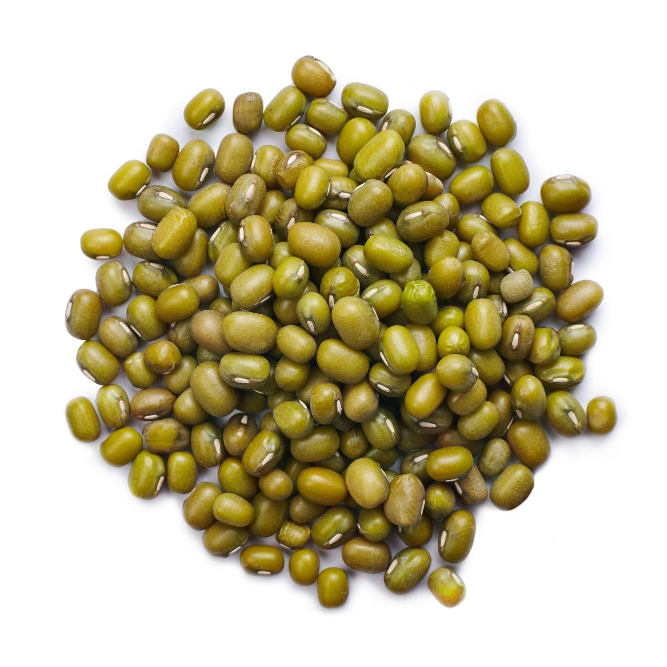 Mong Dal Seeds – Premium Green Gram (Mung Bean) Seeds